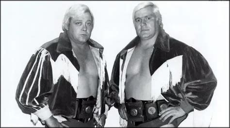 ray stevens wrestler|pat patterson and ray stevens.